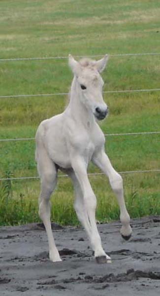 2004_0714_birgitta_086_resize