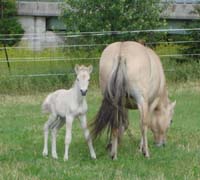 2004_0715_birgitta_001_resize