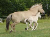 2004_0715_birgitta_002_resize