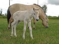 2004_0715_birgitta_015_resize