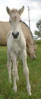 2004_0715_birgitta_016_resize