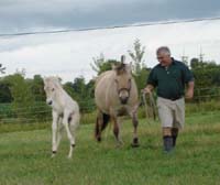 2004_0716_birgitta_077_resize