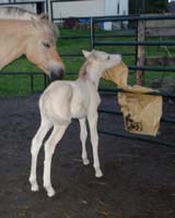 2004_0716_birgitta_094_resize
