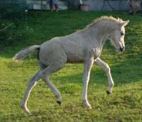 2004_0809_birgitta_038_crop