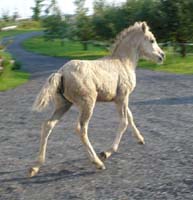 2004_0809_birgitta_047_crop