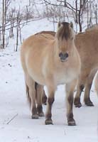 d28_january_2004