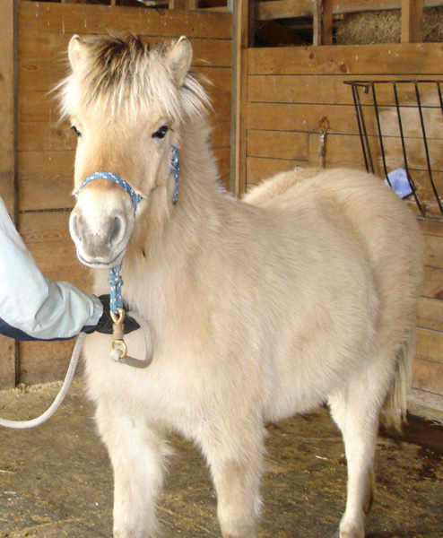 2006_0220_fiorgyn_20_resize