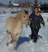 i14_2004_0117_ingvi_04s