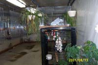 room_2001_0813a