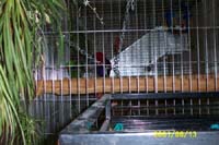 room_2001_0813b
