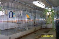 room_2001_0813c