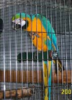 zack_2001_0813as