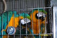 zackbubs_2001_0813a