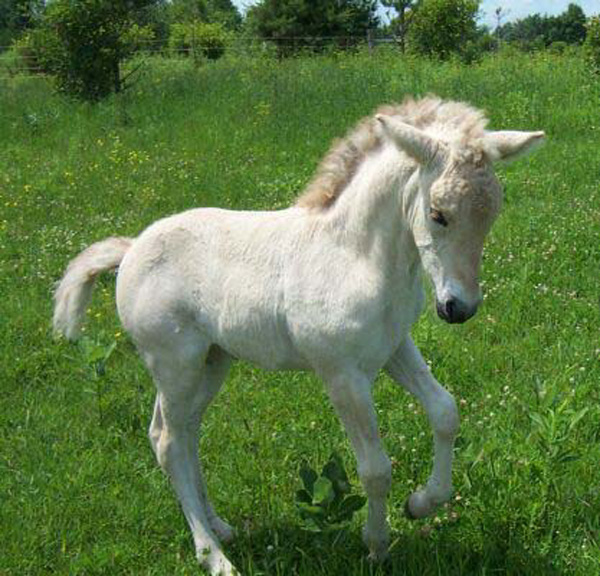 p12_2003_0702_11_resize