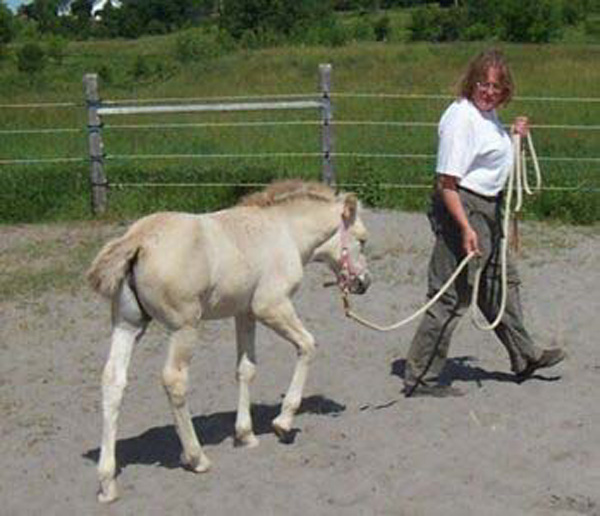 p13_2003_0710_06_resize