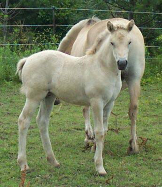 p14_2003_0719_01_resize