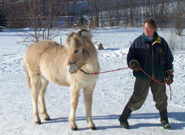 p22_2004_0117_petra_05