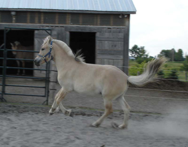 p25_2004_0621_petra_012