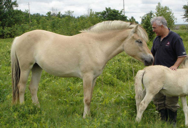 p27_2005_0618_petra_12_resize