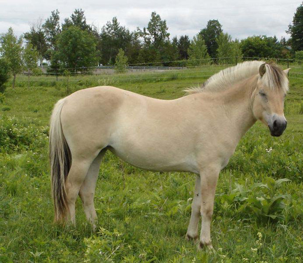 p28_2005_0618_petra_18_resize