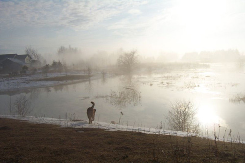 p04_flood_mar25_2003_02