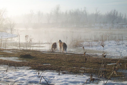 p05_flood_mar25_2003_03