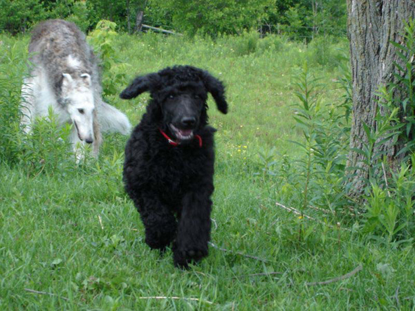 2005_0620_bella_02_resize