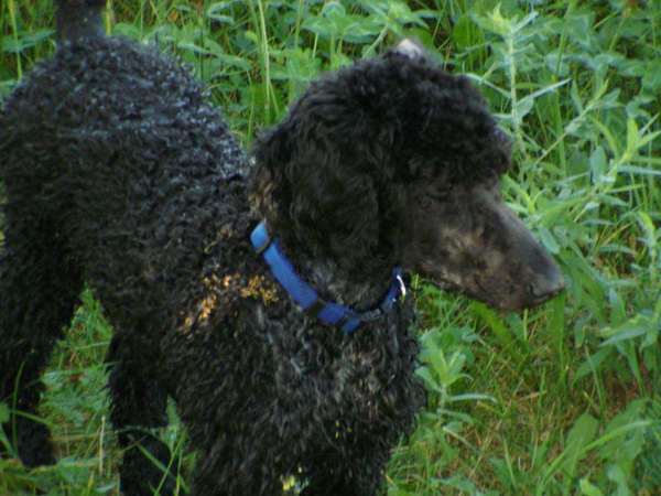 2005_0806_bella_04_resize