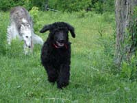 2005_0620_bella_02_resize