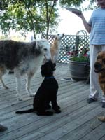 2005_0730_bella_12_resize