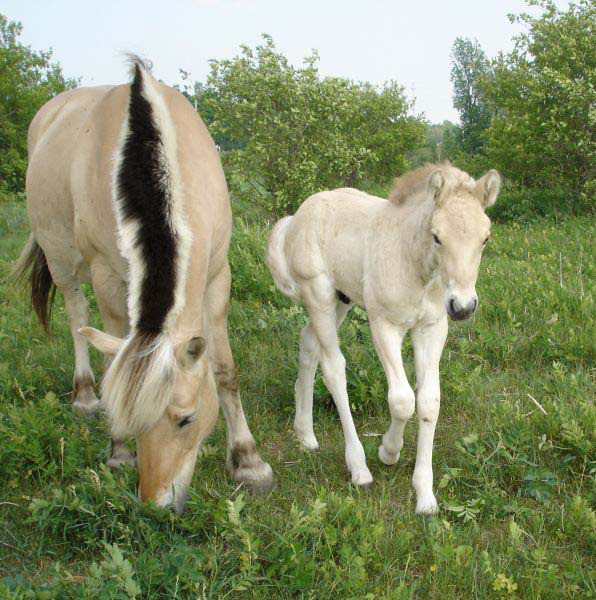 2005_0611_torge_03_resize