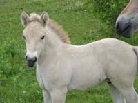 2005_0618_torge_15_resize