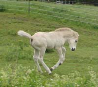 2005_0618_torge_20_resize