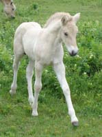 2005_0618_torge_24_resize