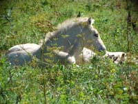 2005_0806_torge_10_resize