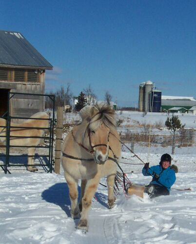 t11_tory_toboggan_jan12_2003_24_cs
