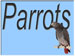You are currently viewing the Parrot Menu